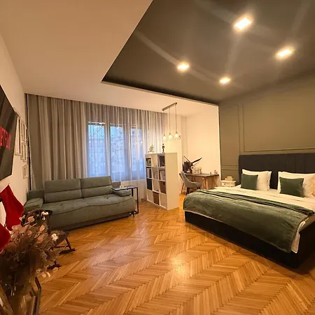 Olive & Oak - Center & Parking 蒂米什瓦拉