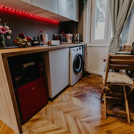 Apartament Olive & Oak - Center & Parking Timişoara