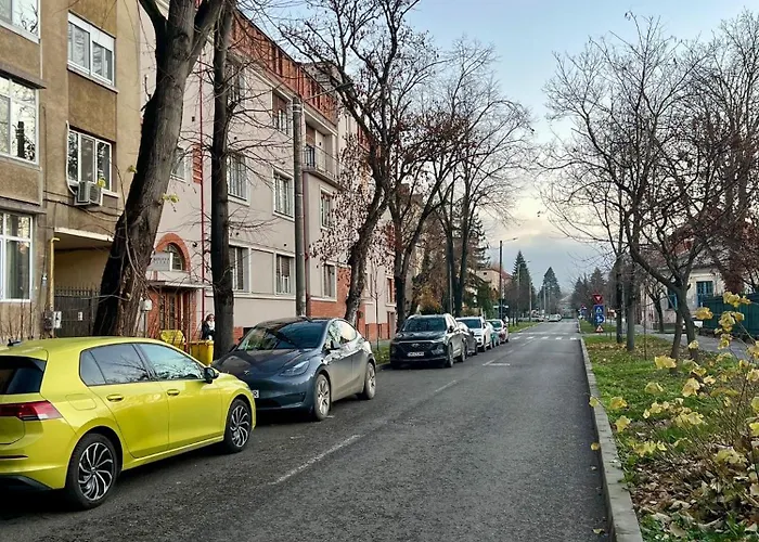 Olive & Oak - Center & Parking *